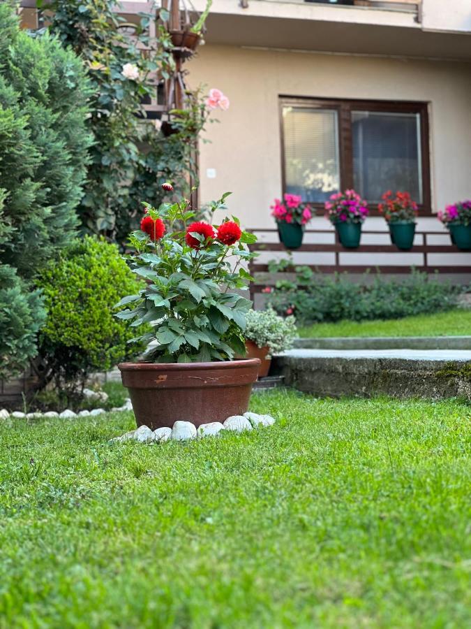סראייבו City Centar Apartman מראה חיצוני תמונה